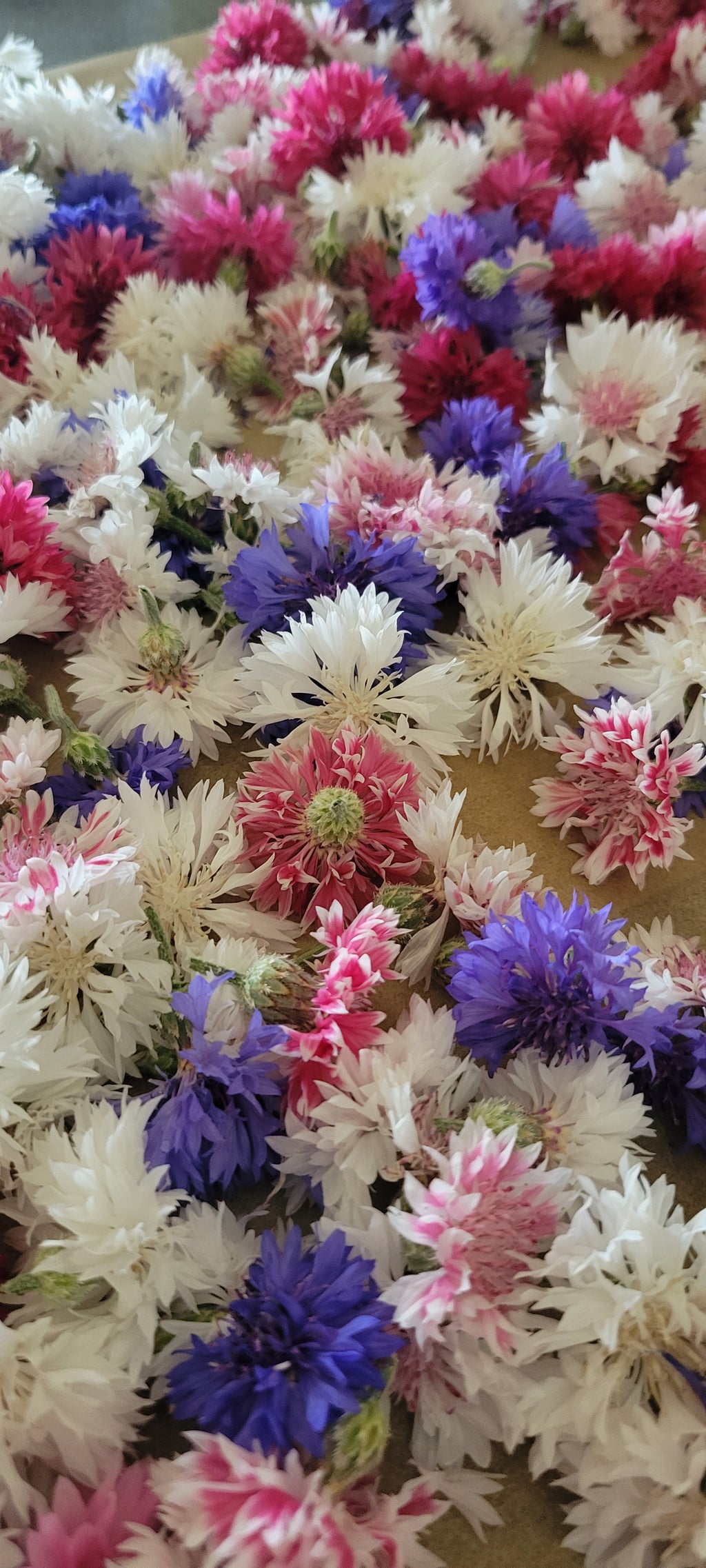 Edible Flower Sprinkles (Two 4 oz jars)