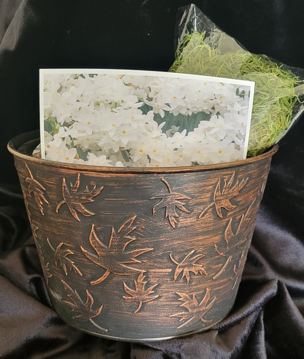 Bronze Autumn Leaves Paperwhite Gift Set