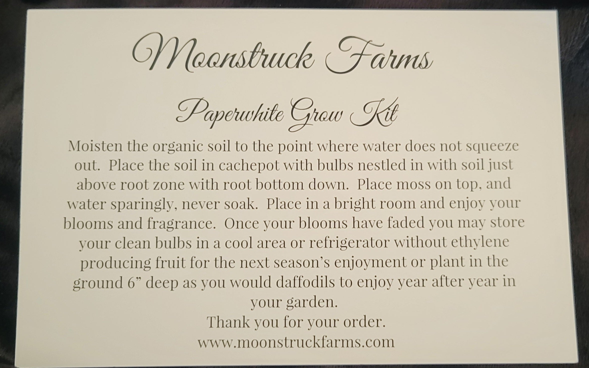 Bronze Autumn Leaves Paperwhite Gift Set