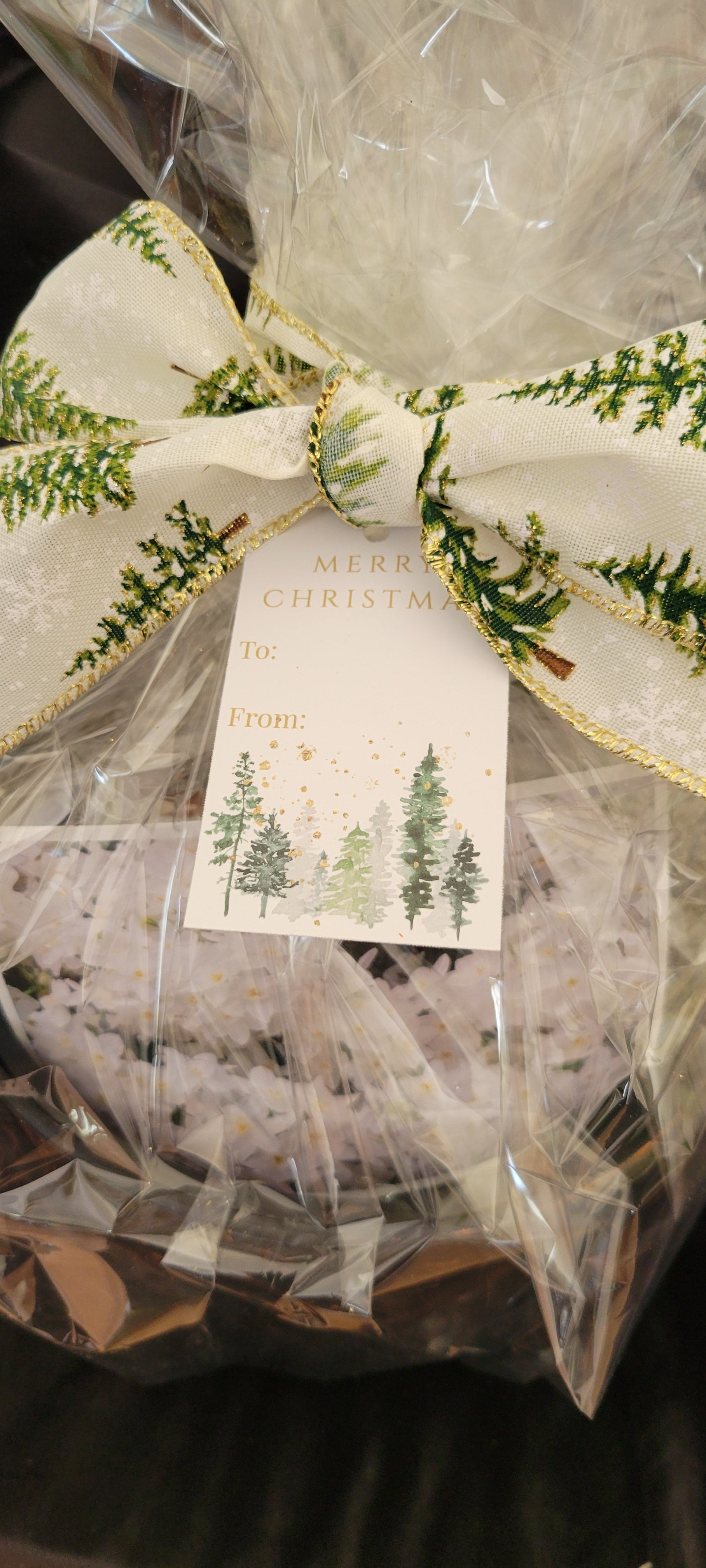 Bronze Autumn Leaves Paperwhite Gift Set