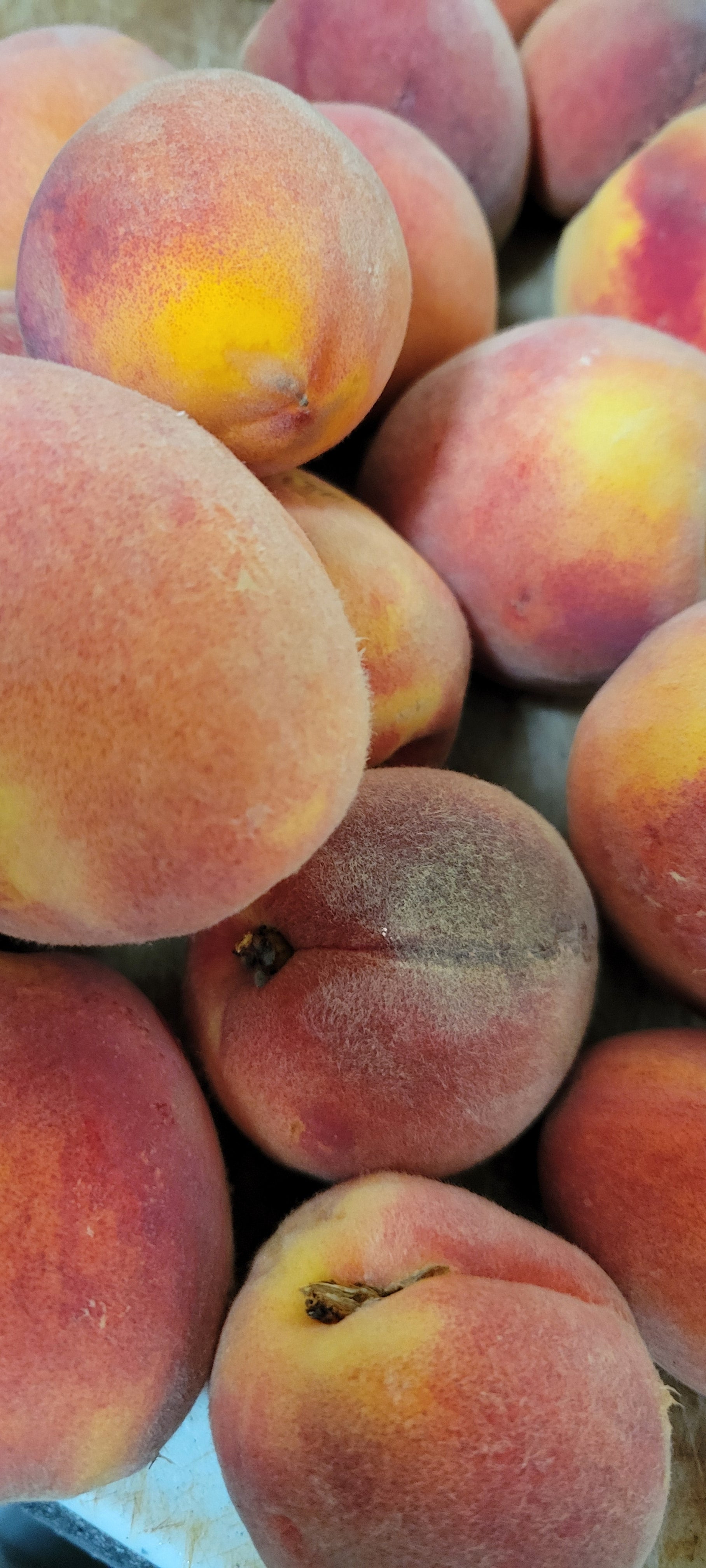 Peach Preserves