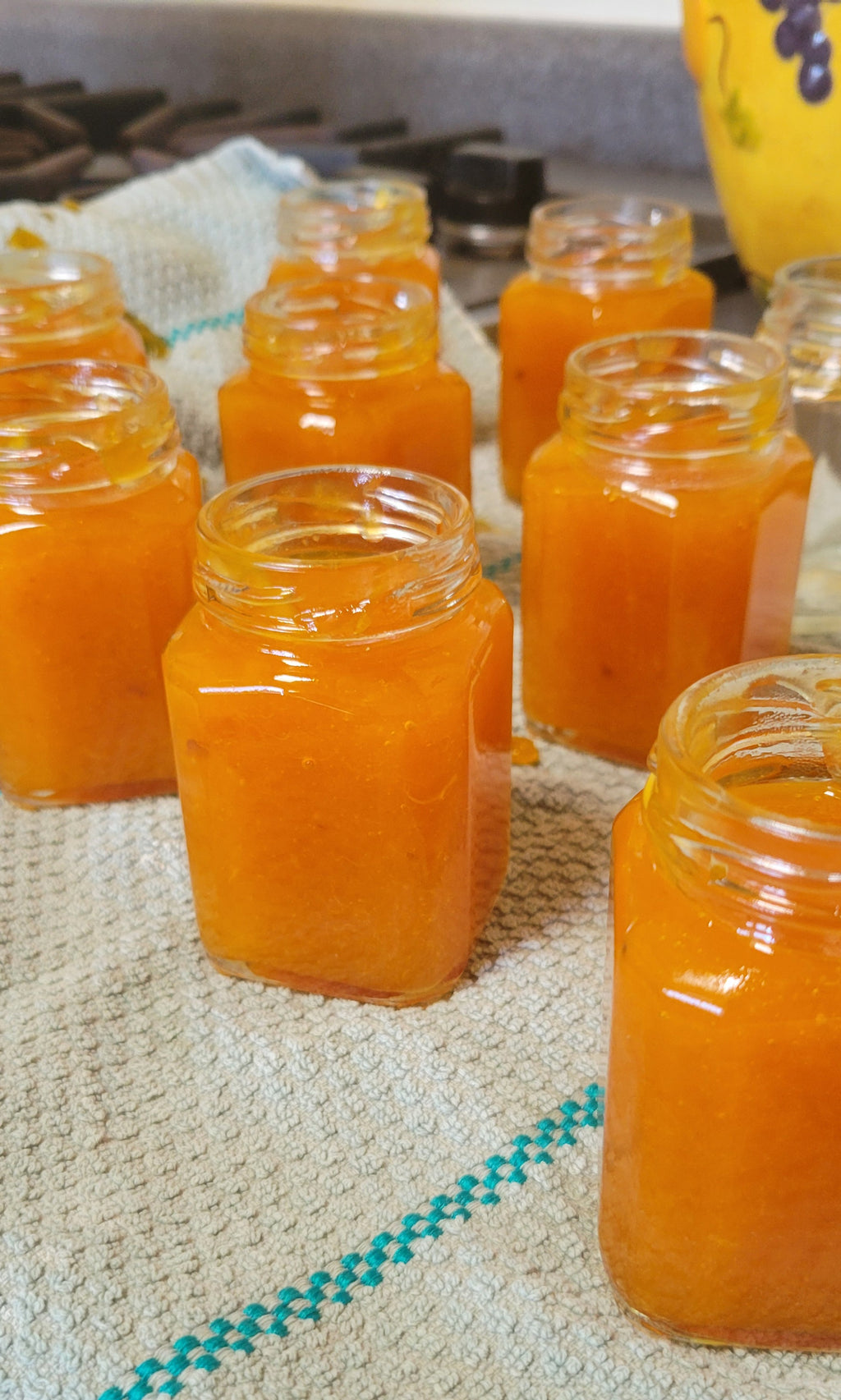 Apricot Jam