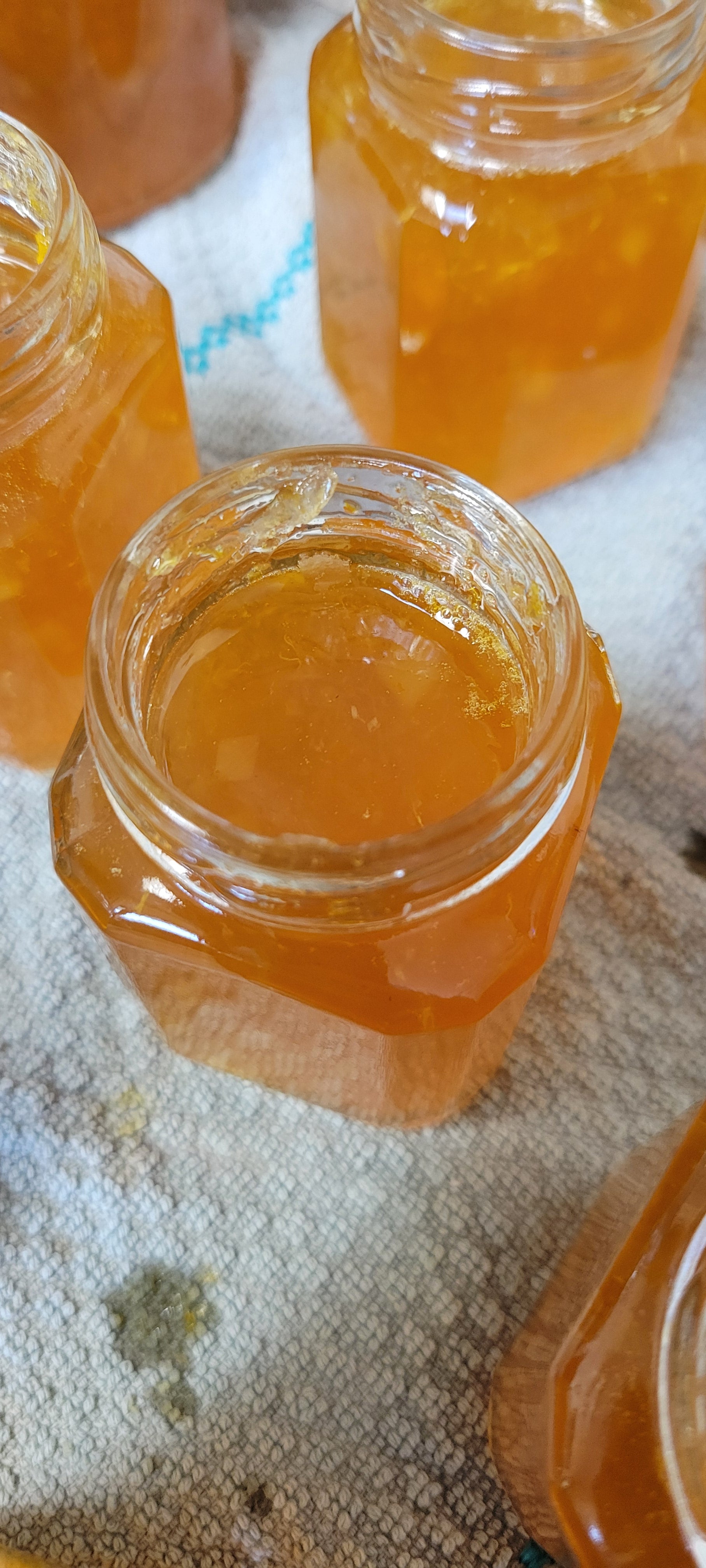 Citrus Ginger Jelly/Tea